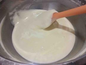 将混合好的蛋黄液倒入剩余的蛋白霜中，用同样的翻拌手法混合均匀；