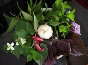 把紫苏、薄荷、鱼腥草和鱼生料统统切碎。还有辣椒和蒜头也切一下。