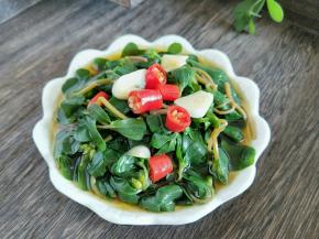 马齿苋就具有清热利湿、止痢消炎等功效。它对痢疾杆菌、大肠杆菌等多种细菌都有强力的抑制作用，有“天然抗生素”的美称。所以，在春天宁可不吃肉，也不要错过它。