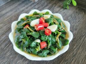 马齿苋就具有清热利湿、止痢消炎等功效。它对痢疾杆菌、大肠杆菌等多种细菌都有强力的抑制作用，有“天然抗生素”的美称。所以，在春天宁可不吃肉，也不要错过它。