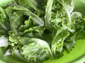 生菜摘洗干净，沥水备用