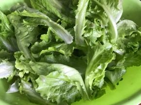 生菜摘洗干净，沥水备用