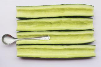 用不锈钢勺勺尾或小刀挖出籽。