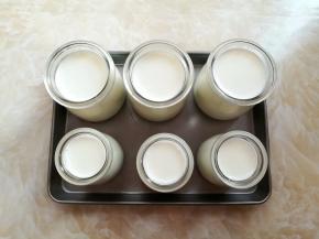 牛奶装入布丁瓶里，不要装太满