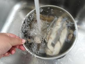 用清水刷洗干净表面。