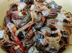 清洗处理小龙虾，在流水下用刷子刷净小龙虾的背腹部，去掉腮，抽虾线。