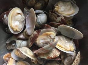 把花蛤冲洗干净后沥干水份备用。（很干净哦）