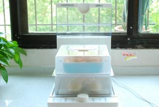 “叮”……时间到啦！打开盖子，哇~一盘色香味俱全的美味大菜出锅啦！是不是迫不及待啦？别急别急，再撒上点香菜碎，好看又好吃，赶紧尝一口吧！嗯，香，除了香还是香！