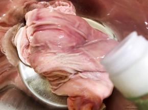 黏液洗掉后冲洗干净，再倒入白醋反复里里外外抓洗干净