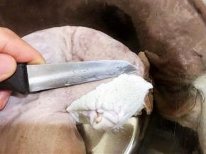 捞出猪肚刮掉肚头上的白色黏膜