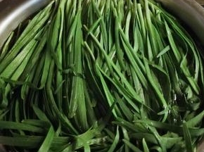 韭菜择去老叶 