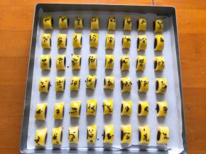 刷上蛋黄液，撒上白芝麻