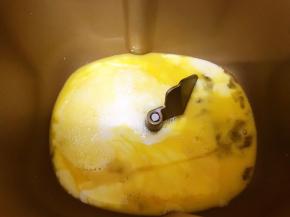 面包桶里放入牛奶，全蛋液，橄榄油