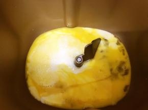 面包桶里放入牛奶，全蛋液，橄榄油