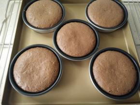 取出脱模冷却。