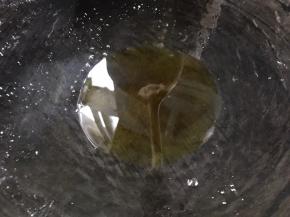 热锅放入菜籽油