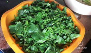 青菜摘洗干净后切碎，装入容器中