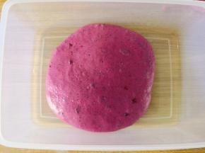 放入保鲜盒，摊平，温度25-28℃进行第一次发酵。