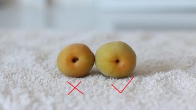 2.	梅子底部的木质的蒂要去掉，不然泡酒过程中容易腐败产生不好的味道