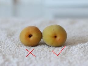 2.	梅子底部的木质的蒂要去掉，不然泡酒过程中容易腐败产生不好的味道