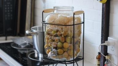 4.	先装入梅子，然后上面盖上冰糖。很多都到瓶口了，不要怕，后期会融化的（我用的是5L的罐子，刚刚好）