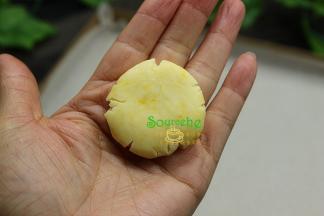 取出面团，分成小团，揉搓光滑，放在手心压扁；