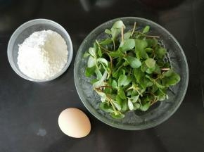 新鲜马齿苋用流动水冲洗一分钟左右，彻底洗干净。奶锅放适量水烧开，然后滴入几滴食用油和少许盐，放入马齿苋焯水十秒钟后捞出。