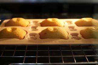 玛德琳可爱的小肚子。