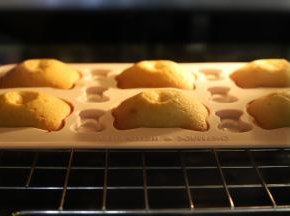 玛德琳可爱的小肚子。