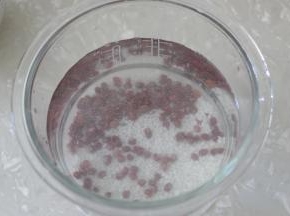 加入适量纯净水。