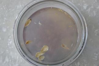 加入适量纯净水。