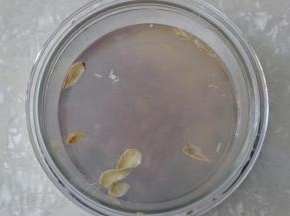 加入适量纯净水。