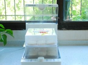 时间到了，小贝壳变得细腻又光滑了，看上去胖了许多，这时候就可以插上电，开始蒸吧，定时器选择12分钟。我的小贝壳不太大，一层放了9个，蒸了两层。10秒钟，就看到热气迅速铺满了蒸箱，眼瞅着小贝壳迅速变胖，越来越大。我放的还是有点挤了，应该再多留点空隙的。不过蒸出来还好，没有粘在一起。