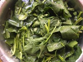 菠菜切小段洗净备用；（如果多泥沙，如若不去掉请清洗感觉）