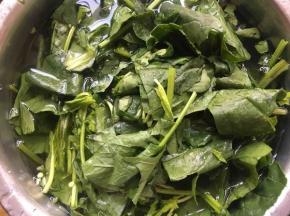 菠菜切小段洗净备用；（如果多泥沙，如若不去掉请清洗感觉）