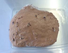 放入醒发盒。放在25-28度的环境中进行基础发酵