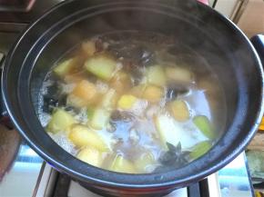 煮开后粉条已经稍微变软了，转入砂锅中，继续小火慢慢炖煮20分钟。