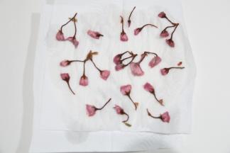 然后用厨房纸巾吸干水分备用。