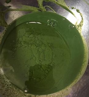 把玉米油倒入抹茶胡中搅拌均匀。