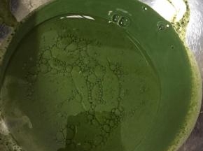 把玉米油倒入抹茶胡中搅拌均匀。