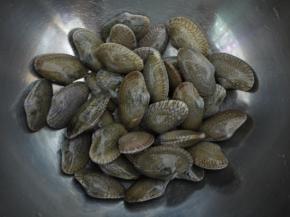 花甲放在水中加盐，放冰块和一根不锈钢勺子帮助吐沙，约1小时以上，洗净备用。