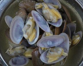 花甲煮好后捞出沥干水备用。