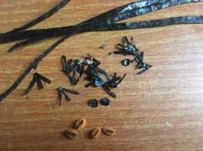 海苔片用剪刀剪出鸡的眼睛、鼻子、脚丫子和腰带，胡萝卜切椭圆与海苔组装成嘴巴；