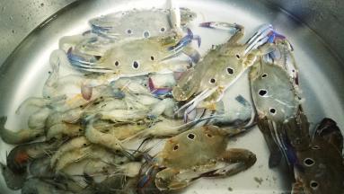 花蟹、虾清洗干净