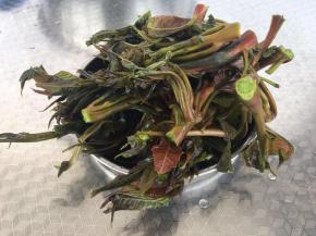 把香椿去掉根部清洗干净备用。