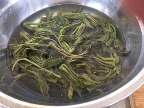 焯过水的香椿取出过下凉水，控干水份备用。