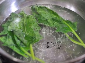 锅里水烧开后，放入菠菜断生，捞出。