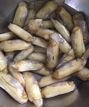 蛏子买回来后加盐和水养着，吐沙2小时。