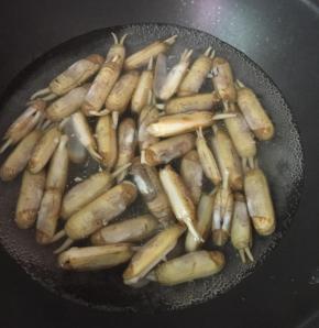 把已经吐沙的蛏子放入开水中，煮至蛏子开口。