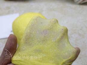 继续一个揉面程序，揉至扩展阶段，面团能拉出较薄的膜即可，不需要到手套膜。
